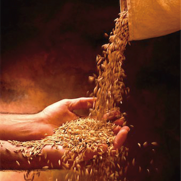 首間海外門市！五桐號WOOTEA ⎯ 澳洲雪梨店 6/12(三) 盛大開幕！